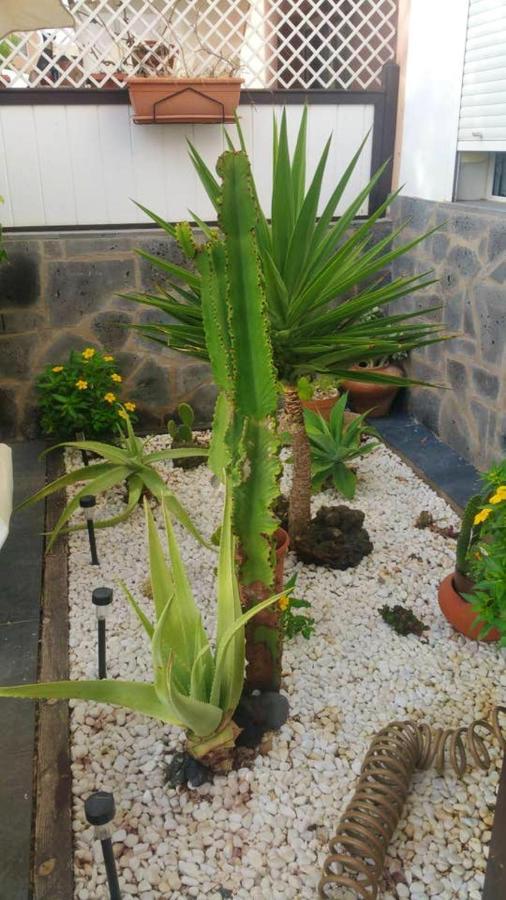 Elegant Villa In Corralejo Dış mekan fotoğraf